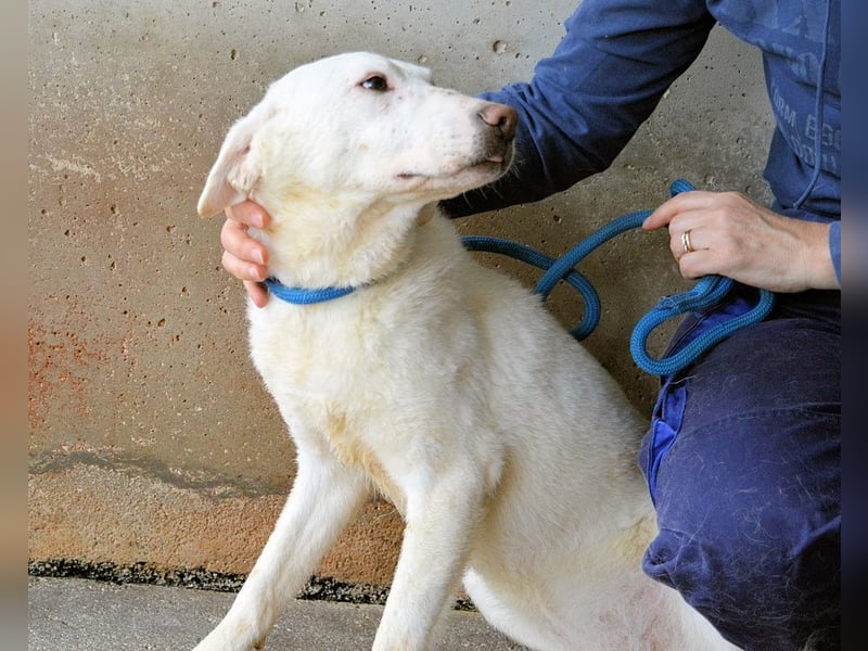 Arriel - aller guten Dinge sind drei