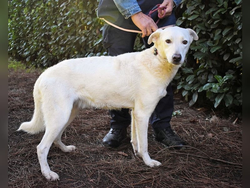 Dafnielle - Zukunft gesucht