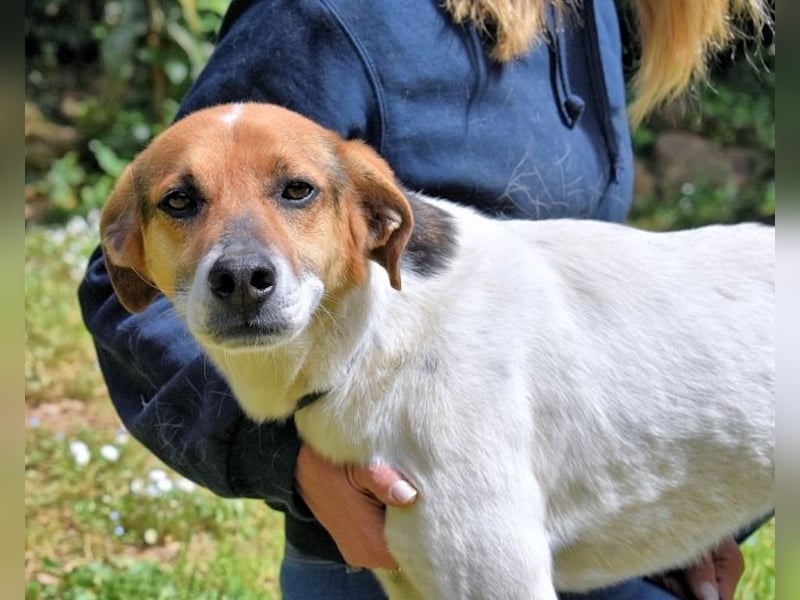 Kamyll - Der Platz neben dir