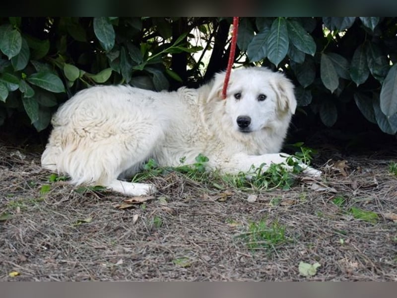 Franky - bereit für das Abenteuer Leben