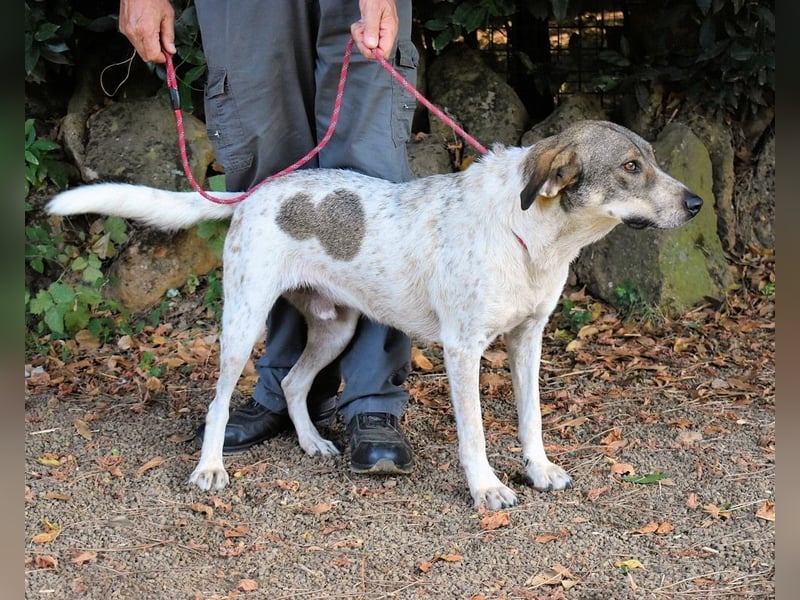 Helder - spricht für sich