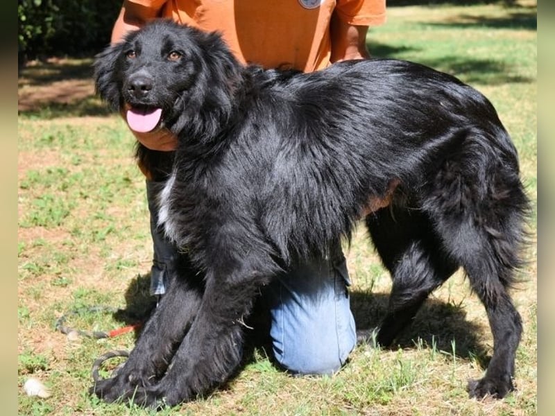 Settimio - Ich bin da, jetzt läuft's!?