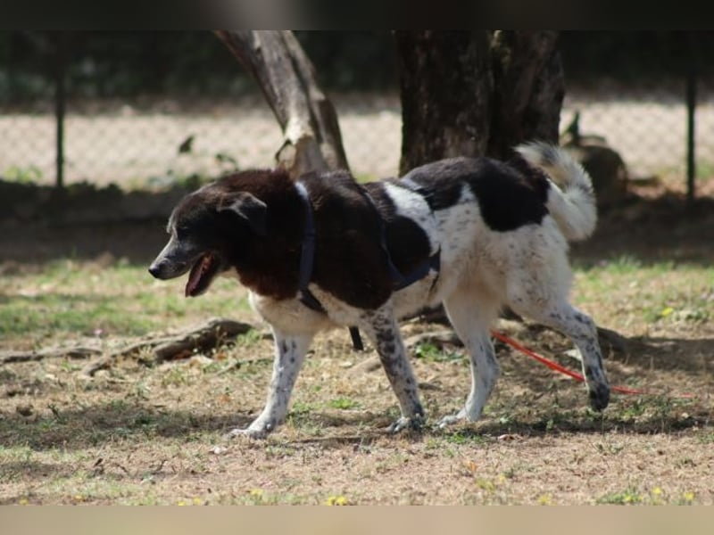 Cambiamento - lasst uns sein Leben verändern
