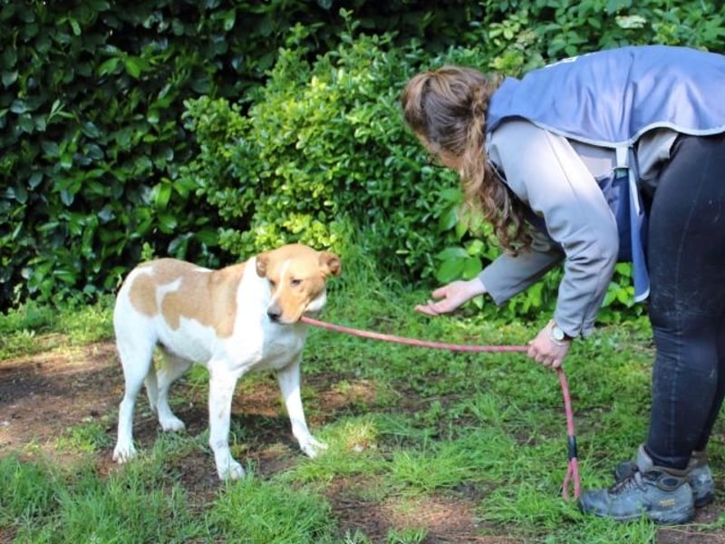 Zela - Z wie Zuckersüß und Zauberhaft