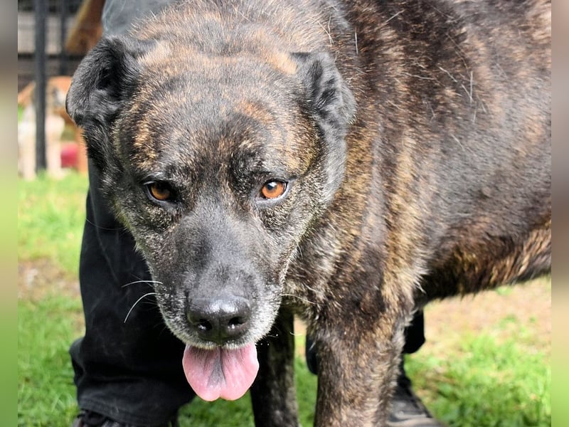 Fareeda - Wo die Schmetterlinge wohnen