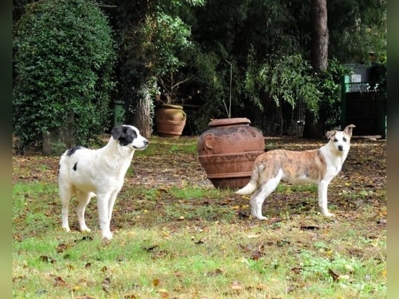 Milde - Ein Flüstern, das sagt: "Du bist sicher."