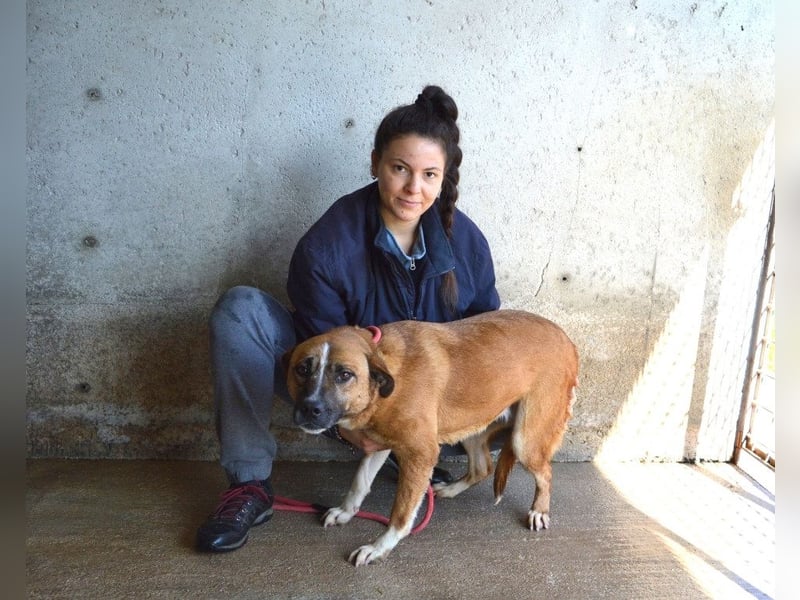 Sunitha - Drei Leben. Drei Chancen.