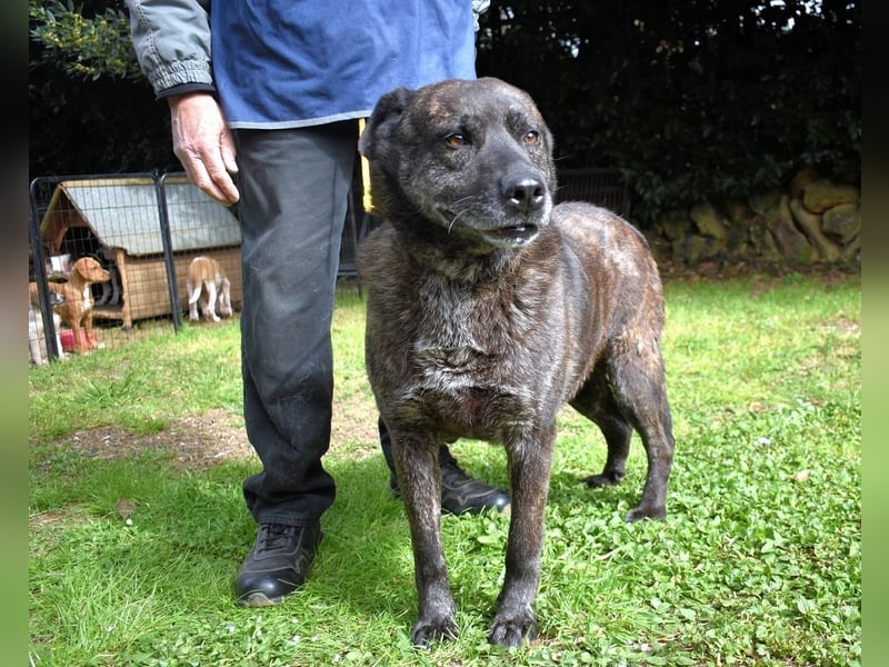 Fareeda - Wo die Schmetterlinge wohnen