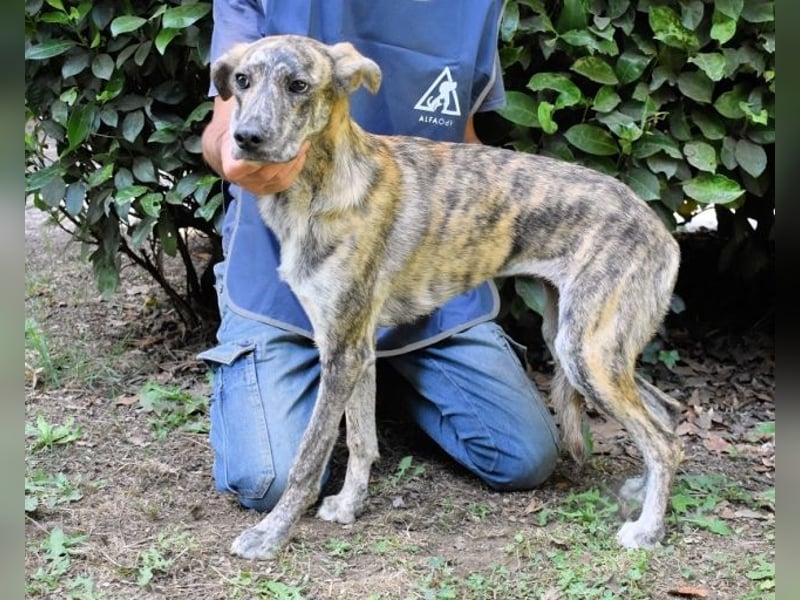 Uladine - hat alles verloren...