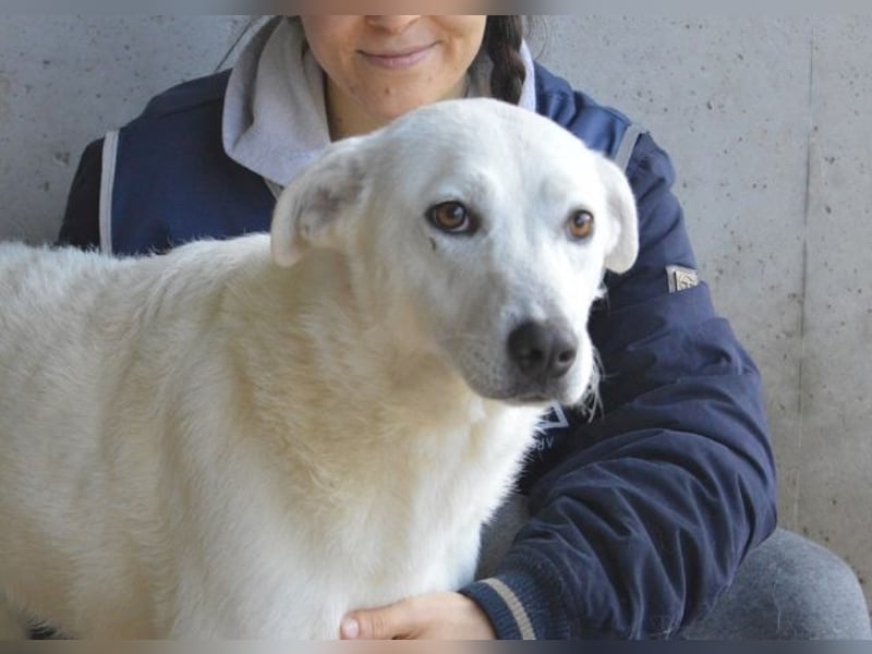 Dafnielle - Zukunft gesucht