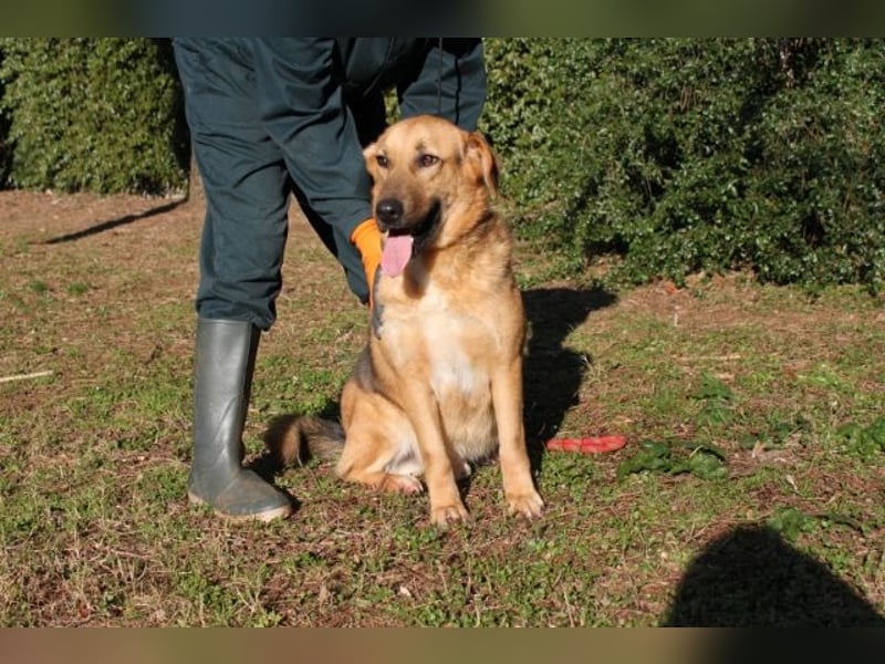 Kairo - möchte einfach nur genießen