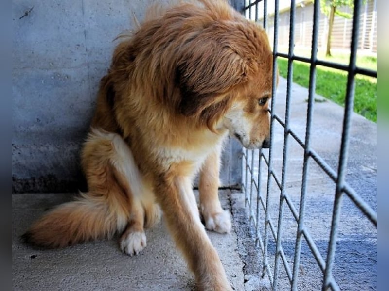 Jonathen - Die Flucht in mir