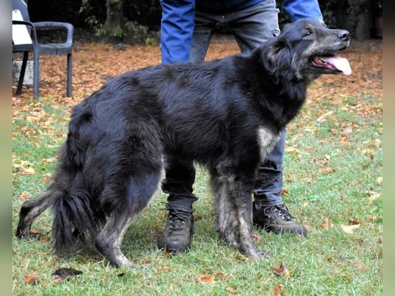 Pinot - "Unmöglich!" sagte die Tatsache... Pinot - "Unmöglich!" sagte die Tatsache...