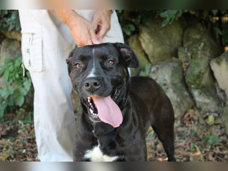 Sienna - Surferin der Herzen