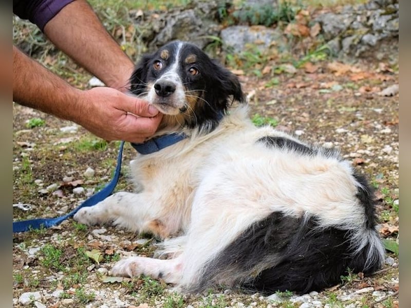 Collin - Wer Vertrauen hat, erlebt jeden Tag Wunder