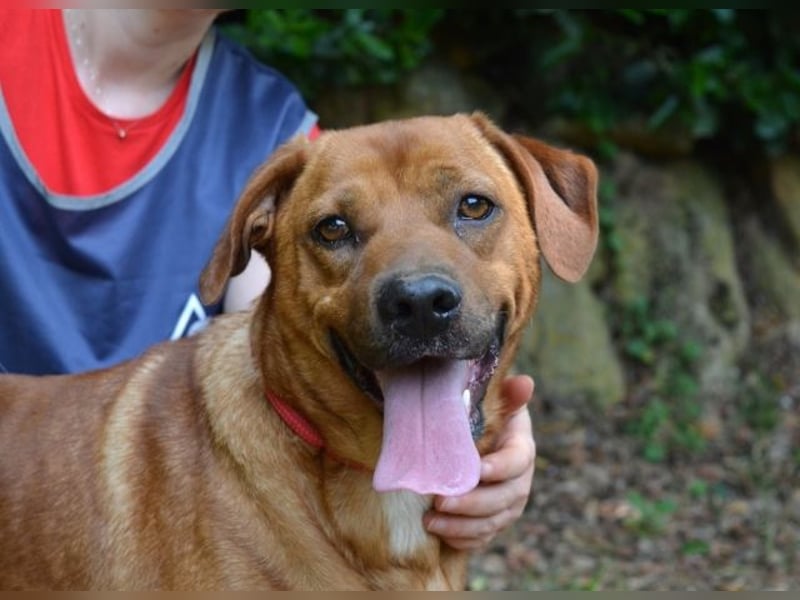 Freebie - Über Stock und Stein