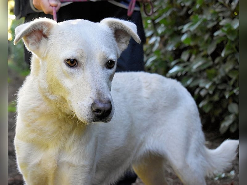 Dafnielle - Zukunft gesucht