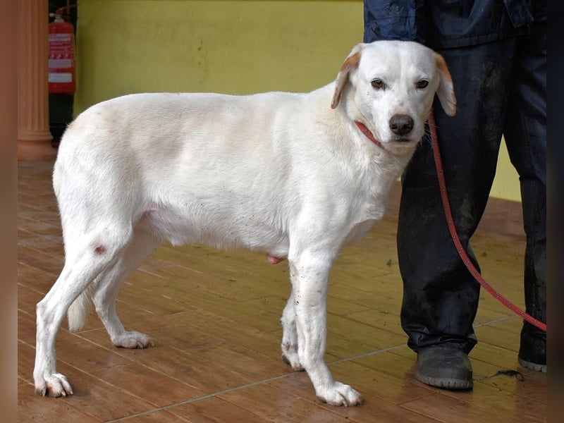 Ghemon - Notfall - Wie wenig kann ein Leben zählen?