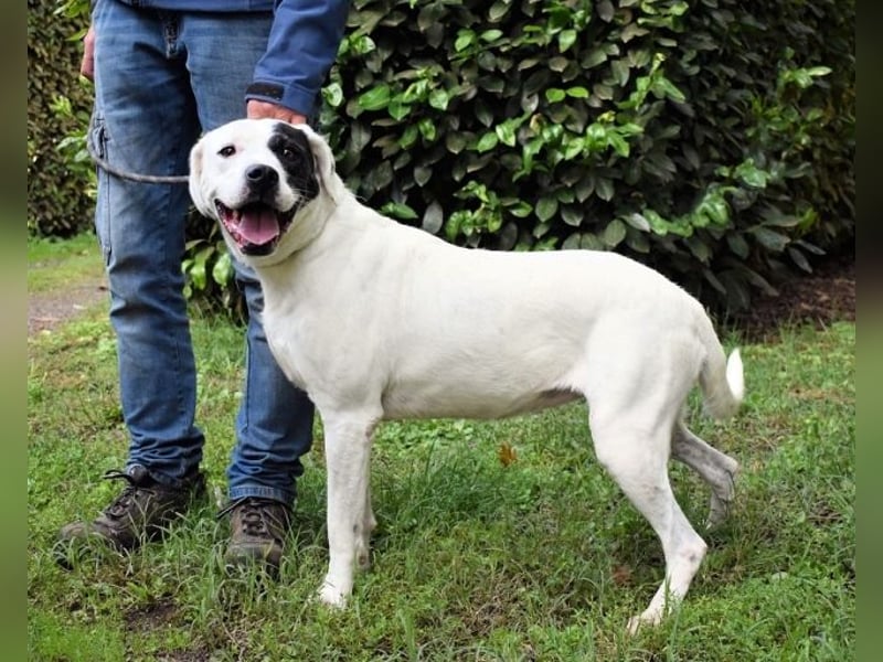 Olindina - Wie gut du bist, das zeigt sich an schlechten Tagen