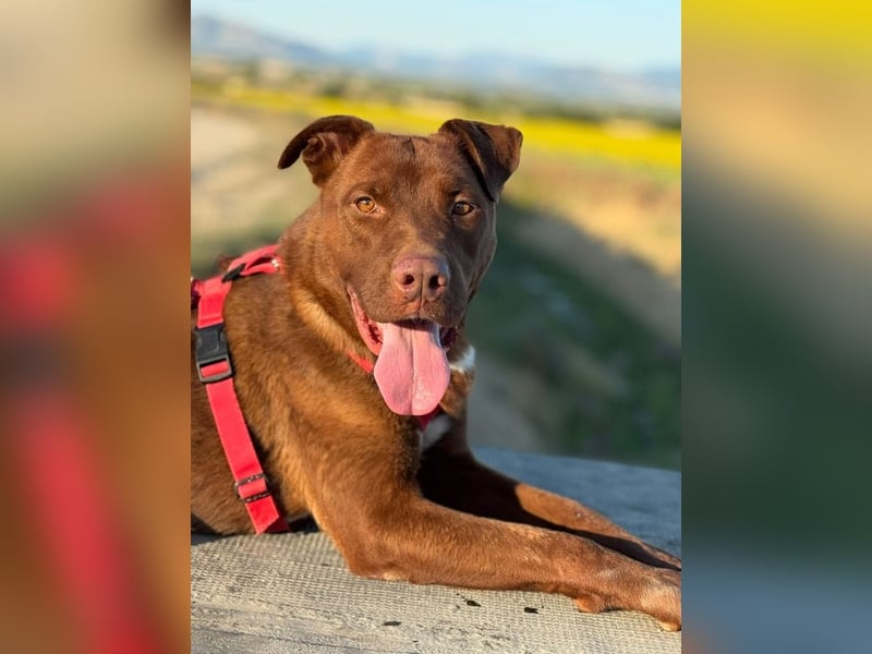 Birdy - Ich glaube, es wird Frühling