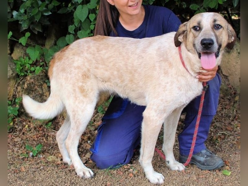 Solidea - 744 Stunden