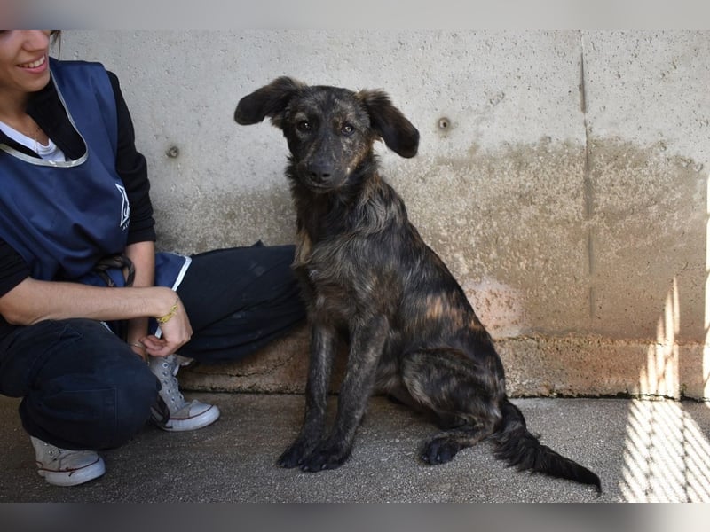 Nivara - Das Märchen von den fünf Schwestern