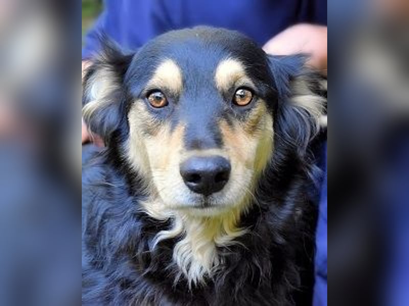 Daxter - wann darf sein Leben beginnen? Daxter - wann darf sein Leben beginnen?