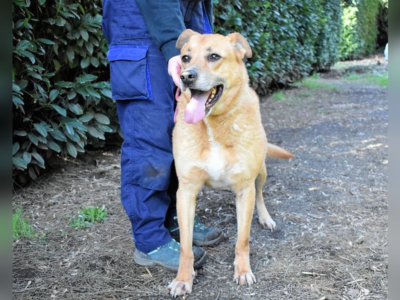 Cesny - Noch ist es nicht zu spät, aber es wird höchste Zeit!