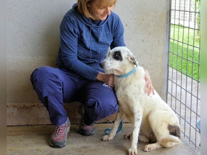 Arunny - aller guten Dinge sind drei