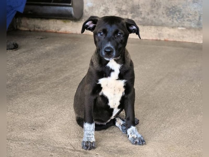 Marisca - Es soll DEIN Leben werden