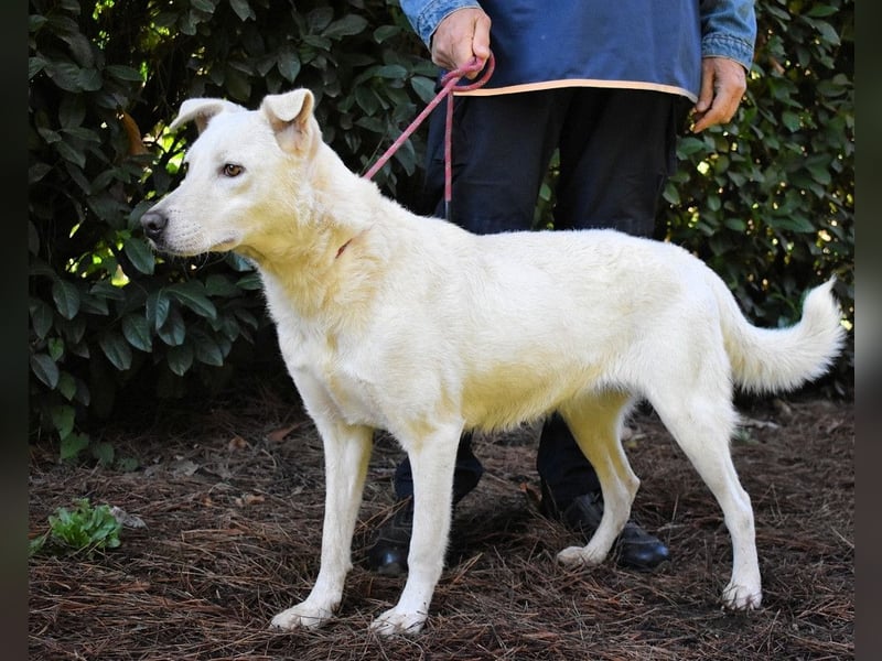 Dafnielle - Zukunft gesucht