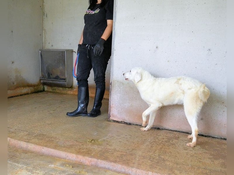 Arriel - aller guten Dinge sind drei