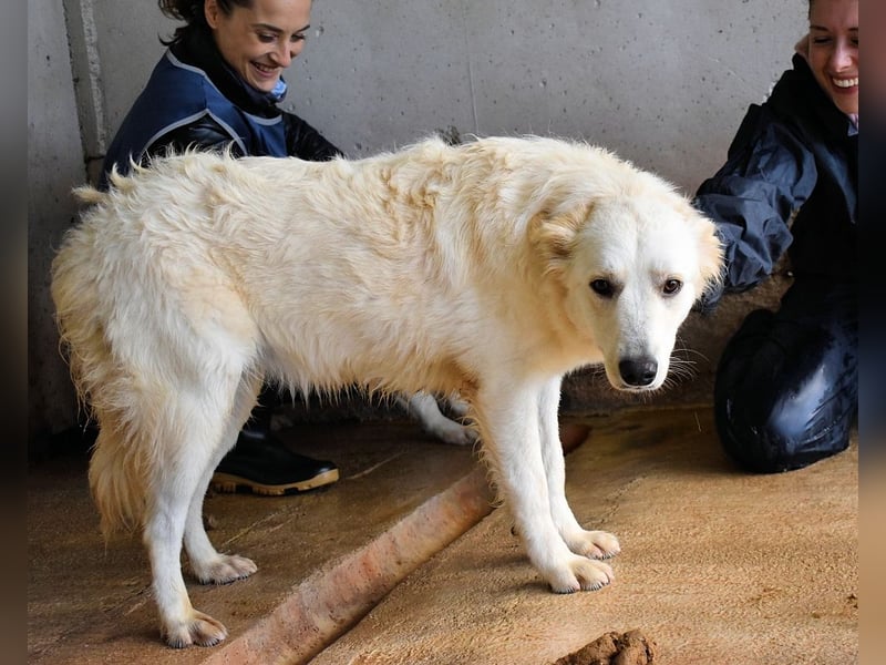 Sadye - Liebevolle Zuwendung....