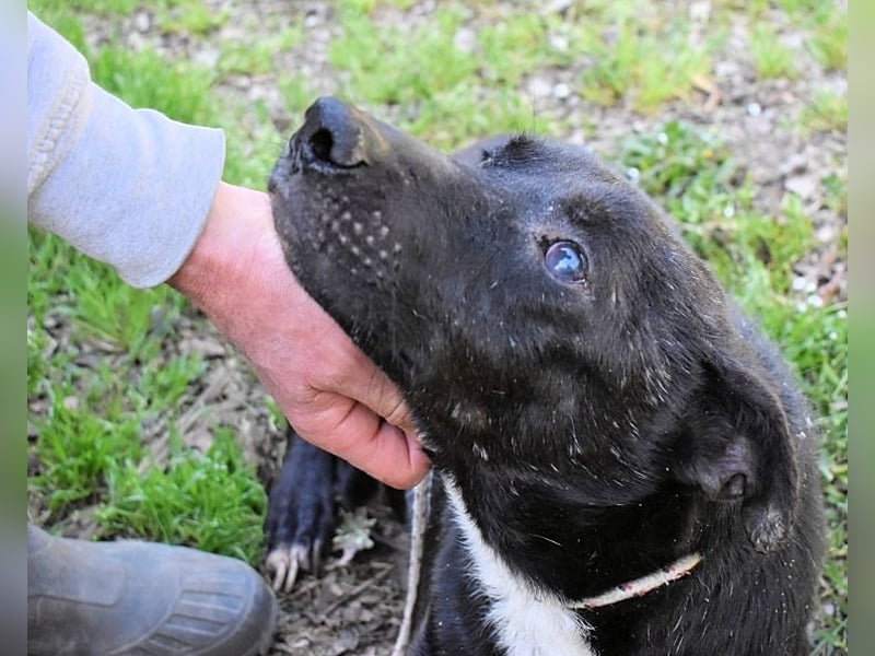 Rhino - NOTFALL !!! - Wenn man nicht auffällt, geht man unter
