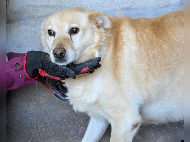 Addison - lange sitzen sie schon da und haben es schwer