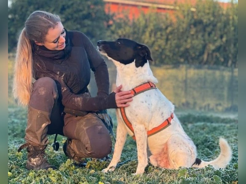 Phönix - Wege aus der Vergangenheit