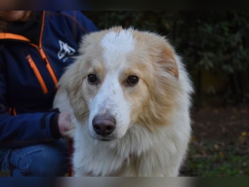 Jury - Powerpaket mit ganz viel Herz im Gepäck