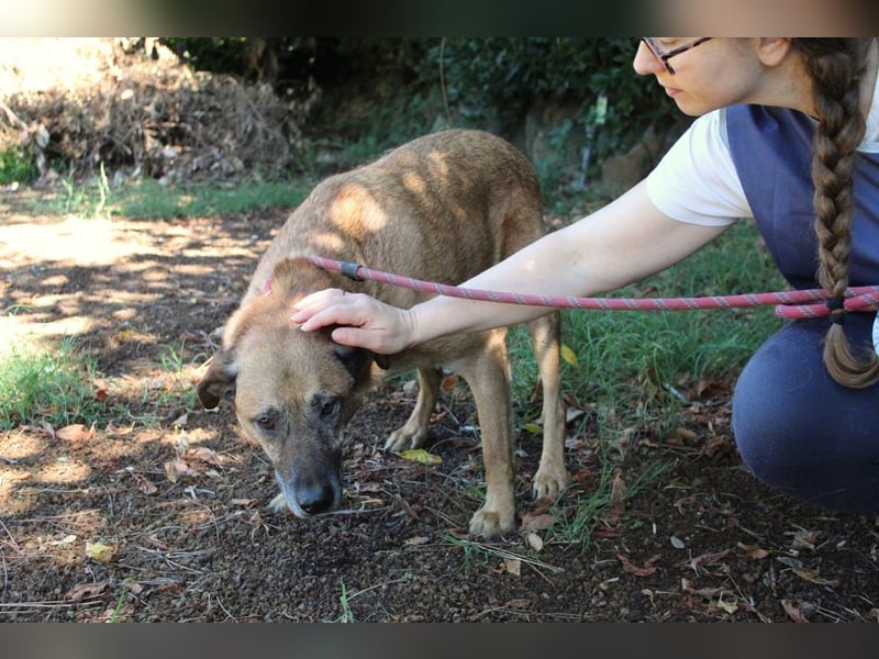 Nidal - Notfall - Was jetzt zählt