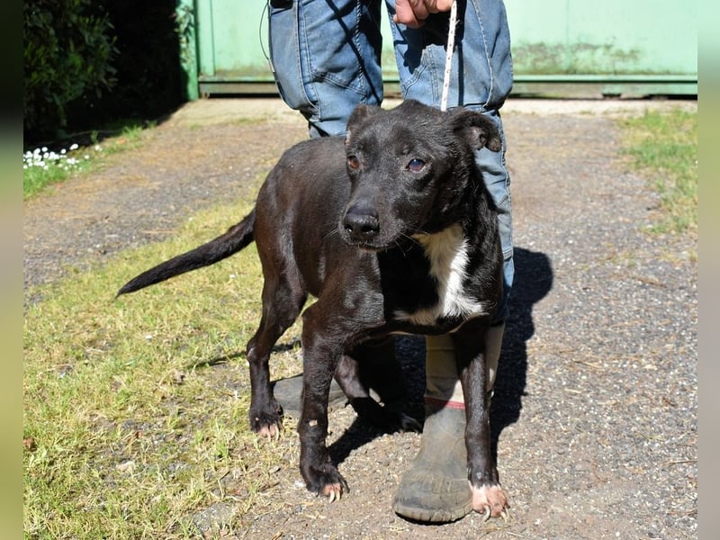 Rhino - NOTFALL !!! - Wenn man nicht auffällt, geht man unter