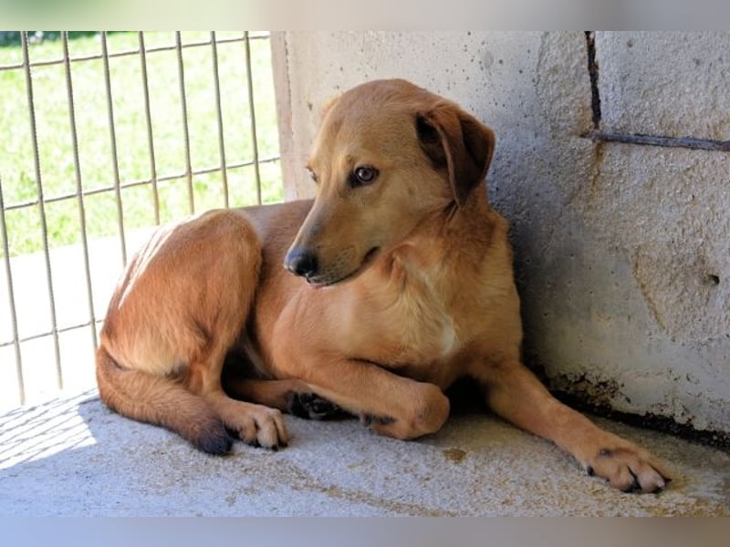 Benno - wenn du mutig bist, dann bin ich es auch!