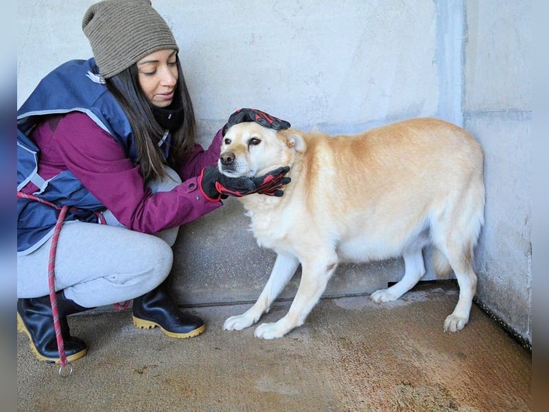 Addison - lange sitzen sie schon da und haben es schwer