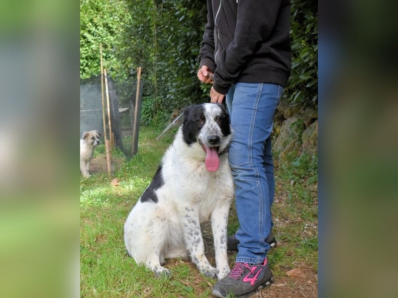 Jasmine - Wer nicht neugierig ist, erfährt nichts!