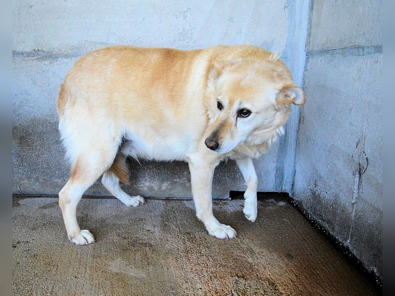 Addison - lange sitzen sie schon da und haben es schwer