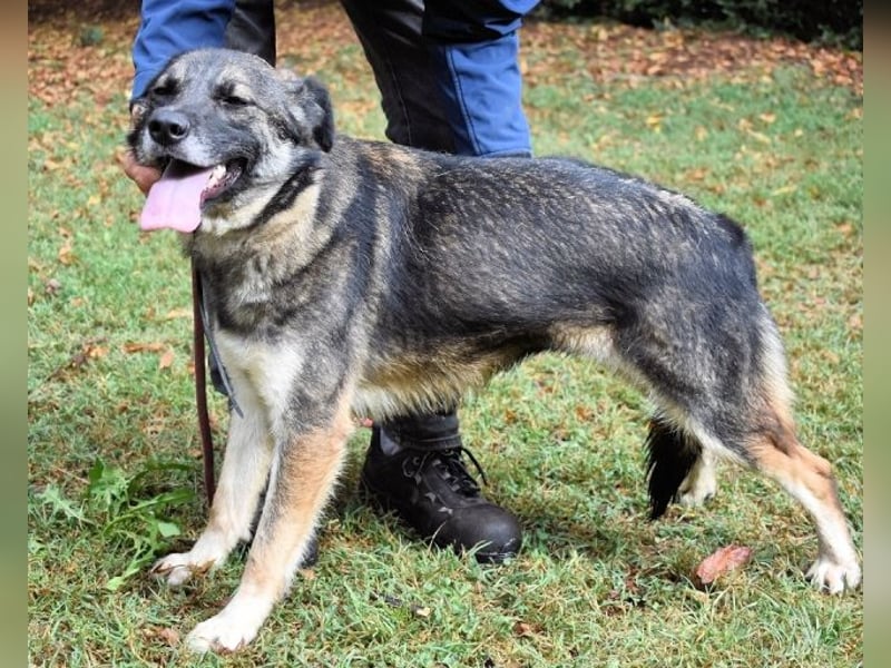 Silvana - im Eilschritt nach Hause?