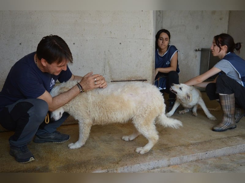 Abreena - Selbstbewusst, verspielt und voller Zuneigung