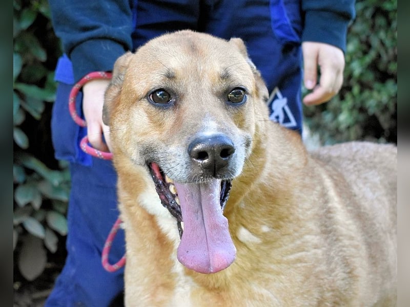 Cesny - Noch ist es nicht zu spät, aber es wird höchste Zeit!