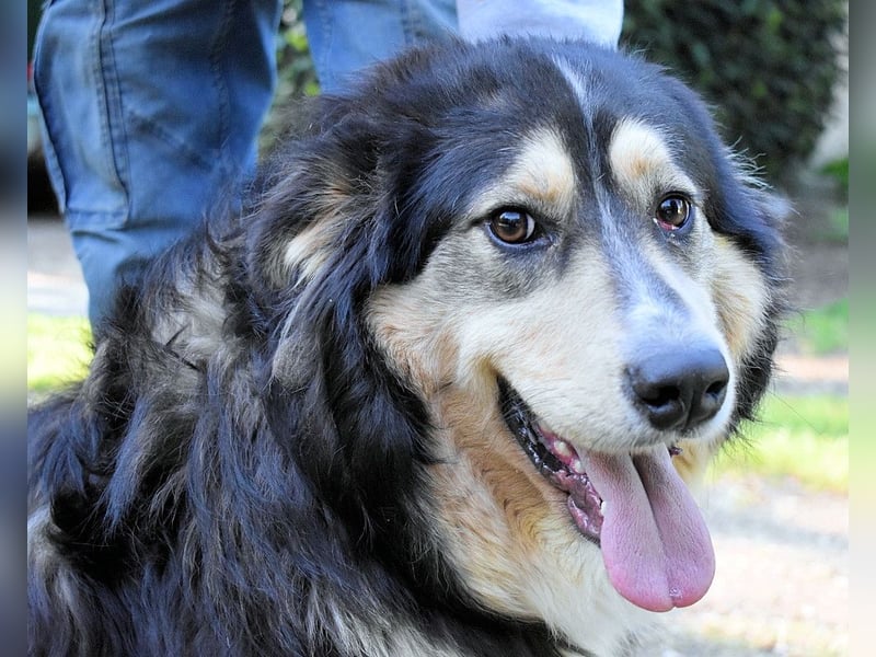 Oliverio - ohne Anklage hinter Gittern