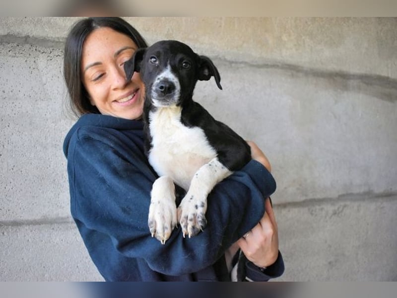 Mavette - Es soll DEIN Leben werden