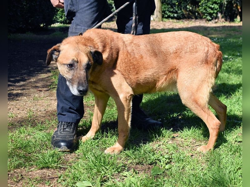 Nidal - Notfall - Was jetzt zählt