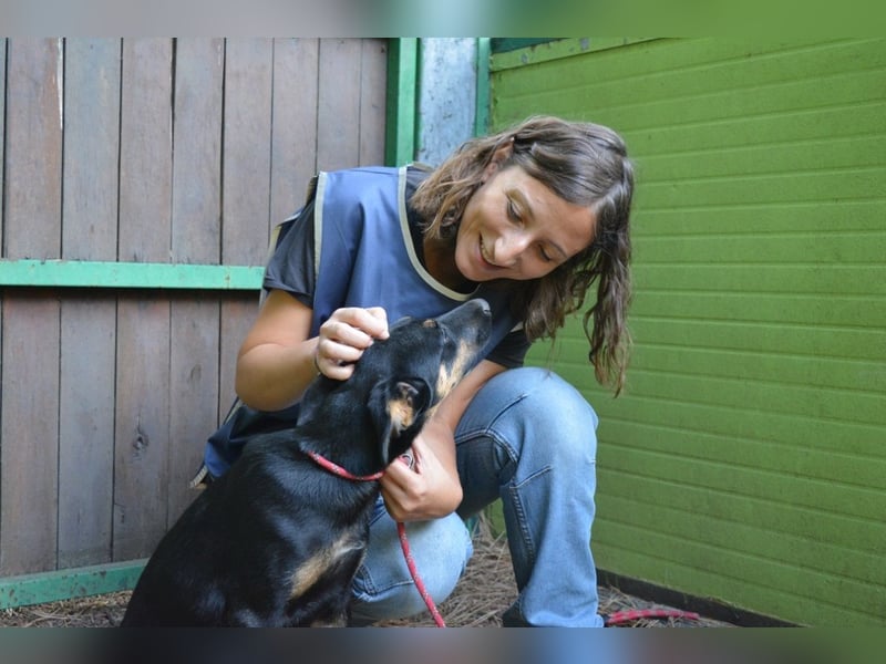 Djamica - fröhliche Junghündin mit offenem Herzen